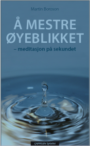 Norwegian cover